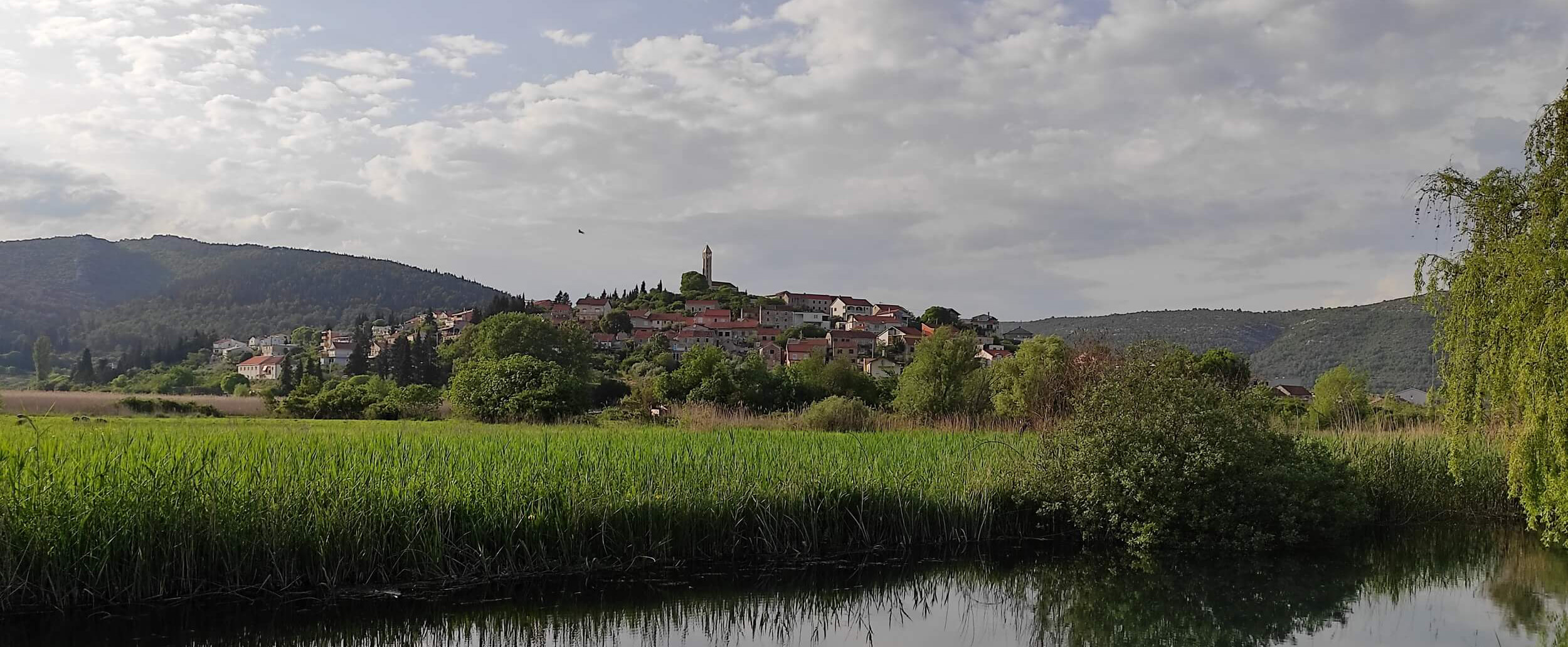 Panorama 1