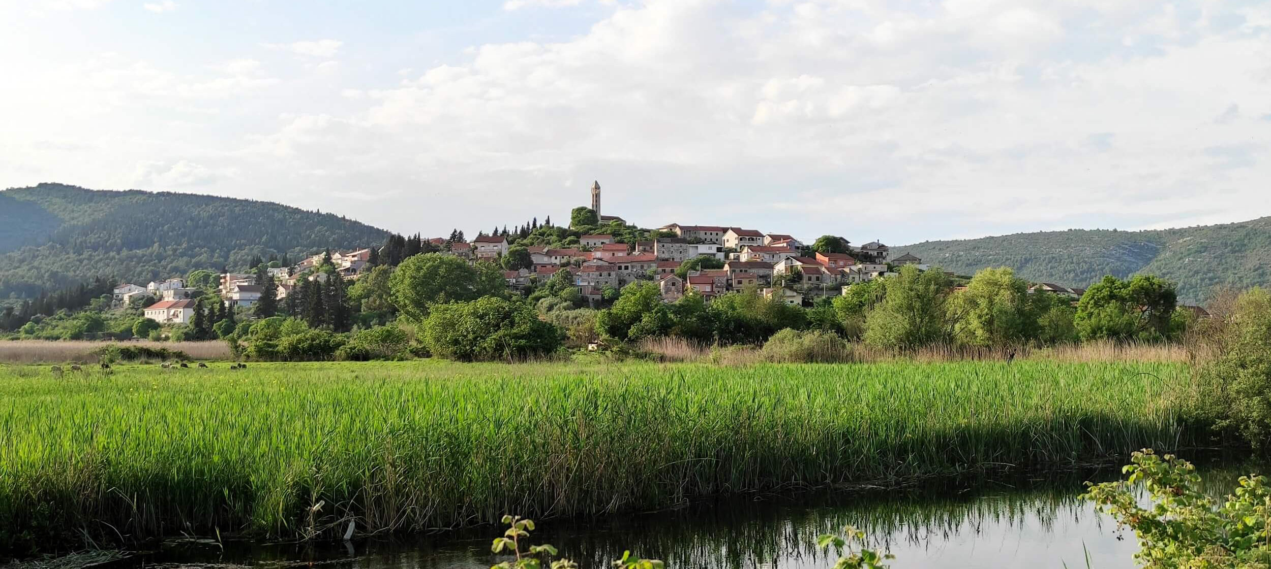 Panorama 4